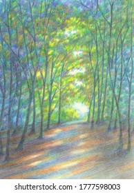 Colored pencils illustration  Forest road through tunnel trees  A bright light is seen at the end the path  There are spots light the ground 