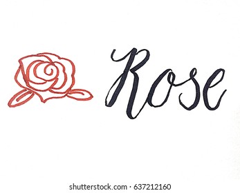 Simple Unique Letter Writing Rose Script Stock Vector (Royalty Free ...
