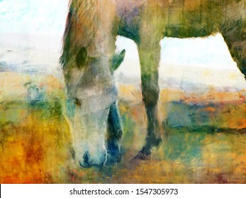 colorful abstract art horse painting, watercolor animal painting, digital art