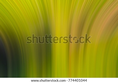 Image, Stock Photo Fly eater (5) Plant