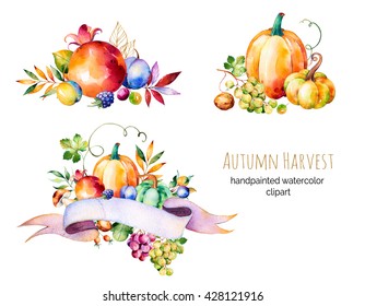 Colorful autumn collection and fall leaves branches berry blackberry mushroom pumpkins walnut grapes vine prunes   more 3 beautiful bouquet for your own design Autumn harvest For your unique create