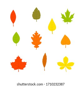  Colorful Autumn Leaf Icon Set