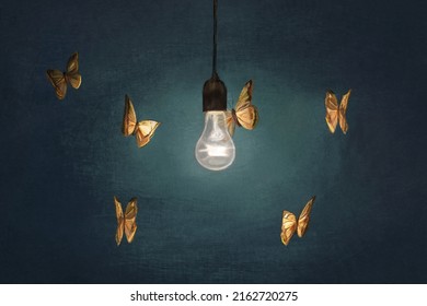 colorful butterflies dance around a light from a lamp
