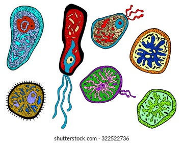 Colorful Cartoon Colorful Amebas Amoebas Microbes Stock Illustration ...