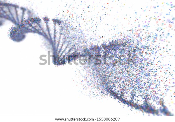 shutterstock