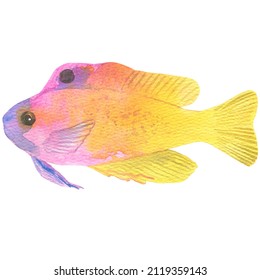 Colorful exotic fishes. Hand painting watercolor illustration. Under ocean, wildlife.