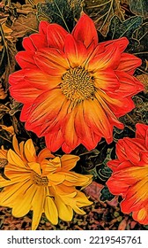 Colorful Fall Flowers, Chrysanthemums, Illustration 