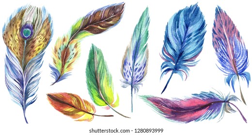 8,912 Watercolor feather border Images, Stock Photos & Vectors ...