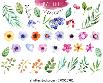 Colorful floral collection with multicolored flowers,leaves,branches,berries and more,Colorful floral collection with 37 watercolor elements.Set of floral elements.Pastel collection