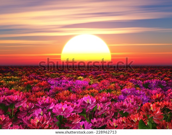 Colorful Flowers On Background Sunset Stock Illustration 228962713