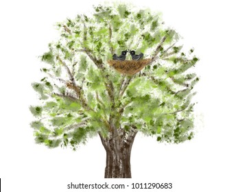 Colorful Hand Drawn Abstract View Of Oak Tree Without Bird Nest On White Background, Isolated Cartoon Illustration Of Spring Tree Painted By Watercolor And Pencil Paper Chalk, High Quality