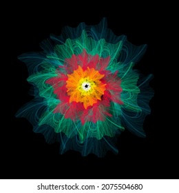 Colorful Illustration Fractal Fibonacci Flower