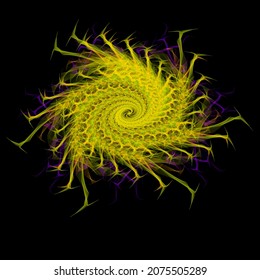 Colorful Illustration Fractal Fibonacci Flower