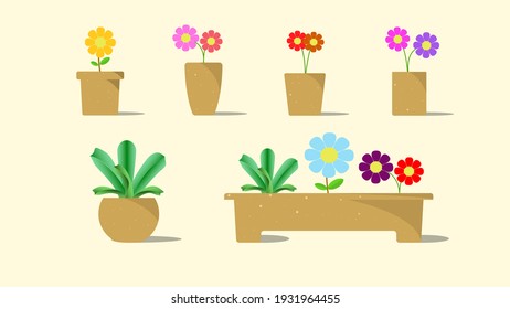 Colorful Mixed Flower In Pots