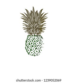 Abstract Pineapple Vector Illustration Stock Vector (Royalty Free ...