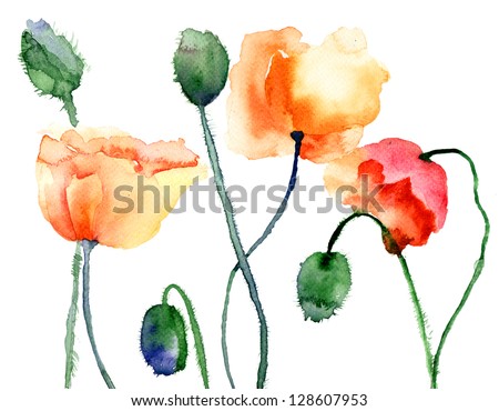 Similar – Image, Stock Photo poppy Plant Old