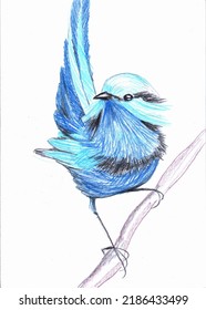 Colorful portrait of blue bird hand drawing illustration