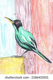 Colorful portrait of green bird hand drawing illustration
