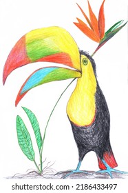 Colorful portrait of toucan bird hand drawing illustration