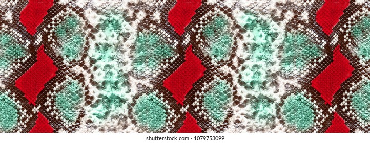 Colorful Python Design, Colorful Snake Skin