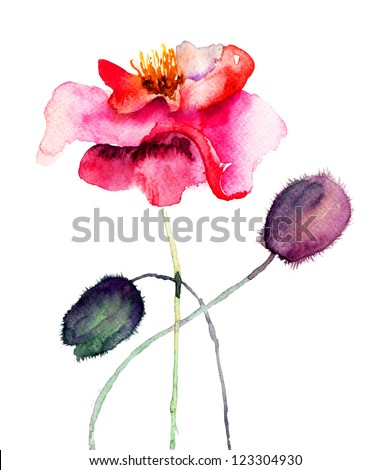 Similar – Image, Stock Photo poppy Plant Old