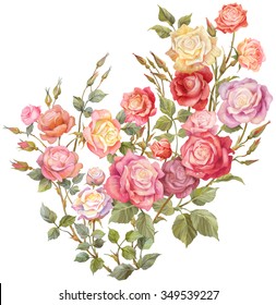 Flowers Watercolor Illustrationmanual Composition Set Watercolor Stock ...