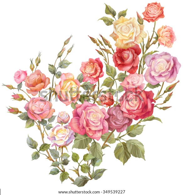 Colorful Roses Isolated On White Background Stock Illustration 349539227