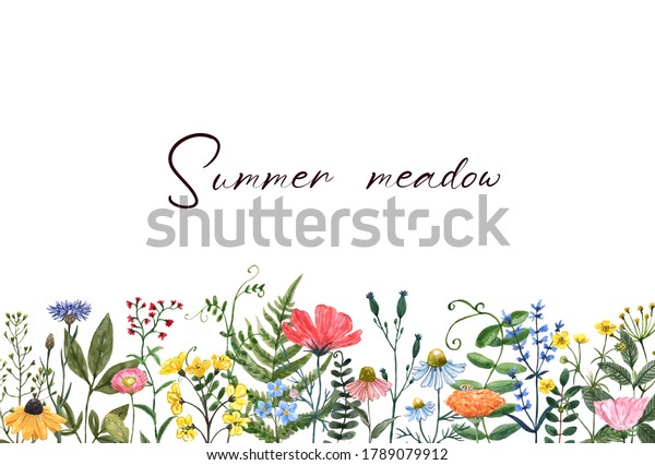 カラフルな夏の牧草地のイラスト 水彩の山の花 バナー カード 招待状の横枠 白い背景にかわいい花 草 野草 のイラスト素材