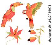 Colorful tropical birds toucan macaw cashew flower