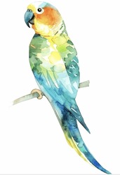 Colorful Tropical Parrot Parakeet Bird Beautiful Elegant Watercolor Illustration Isolated On White Background Transparent Card Decor Nature Wildlife Birds Birdwatching