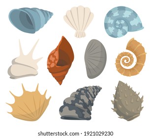 25,884 Clam Shell Illustration Images, Stock Photos & Vectors ...