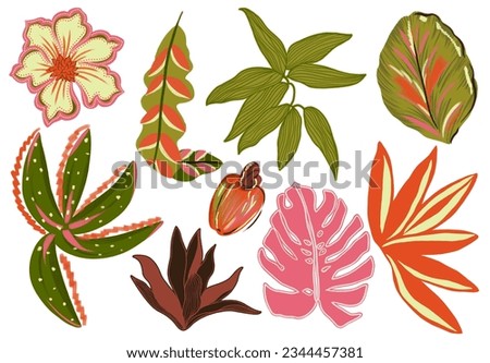 colorful tropical set isolated elements flowes leaves and plants branches artsy watercolor gouache handrawn digital illustration cashew monsteral palm Foto stock © 