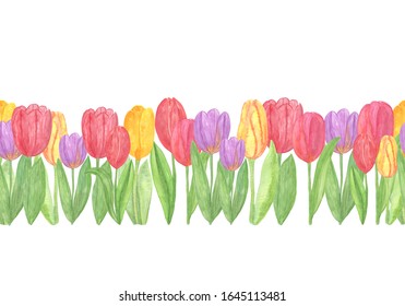 137 Floral Horizontal Border.watercolor Tulips Images, Stock Photos ...