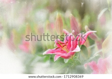 Colorful  watercolor painting of pink flowers in a white background.
