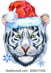Colorful white tiger in Santa hat. Wild animal watercolor illustration on white background