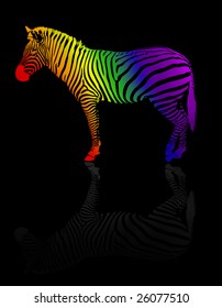 colorful zebra on black