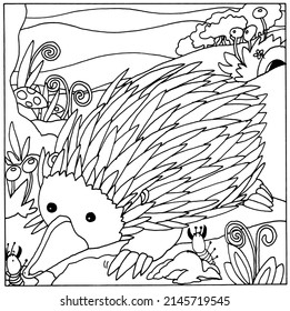 Coloring Book - Animals For Kids, Children. Colour The Illustration. Echidna, Australia, Mammal.