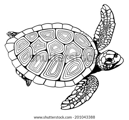 Coloring Book Turtle Stock Illustration 201043388 - Shutterstock