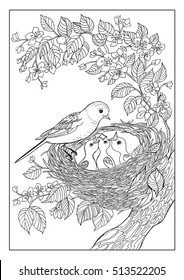Bird Nest Coloring Page Stock Illustrations Images Vectors Shutterstock