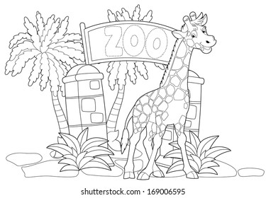 3,476 Coloring page giraffe Images, Stock Photos & Vectors | Shutterstock