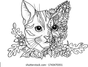 Download Cat Adult Coloring Pages High Res Stock Images Shutterstock