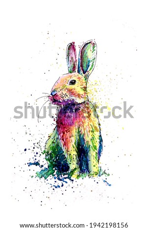 Colourful rabbit, painted with watercolour in loose style. 