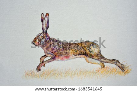 Colourful Watercolour painting of Hare Running