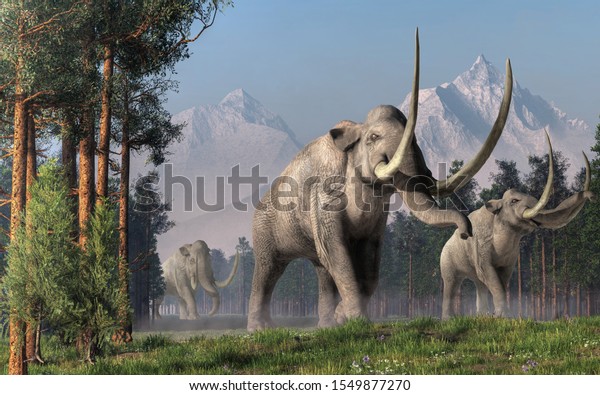 The Columbian Mammoth\
is an extinct animal that inhabited warmer regions of North America\
during the Pleistocene. Here three of them walk on a wide path. 3D\
rendering\

