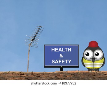 Comical Bird Construction Worker Watching Health And Safety Induction Programme Perched On A Rooftop Against A Clear Blue Sky