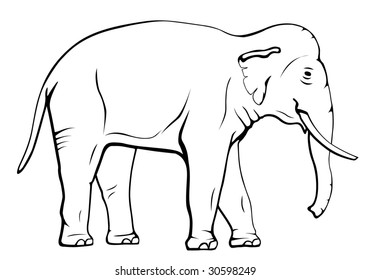 6,798 Asian elephant drawing Images, Stock Photos & Vectors | Shutterstock