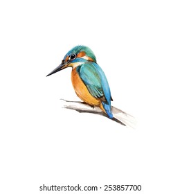 The common kingfisher (Alcedo atthis) also known as Eurasian kingfisher and fish