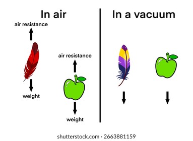 comparing feather and apple falling in air and in a vacuum. Shows air resistance effect and weight force, illustrating Galileo’s principle of equal acceleration in vacuum, air resistance