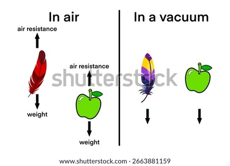 comparing feather and apple falling in air and in a vacuum. Shows air resistance effect and weight force, illustrating Galileo’s principle of equal acceleration in vacuum, air resistance