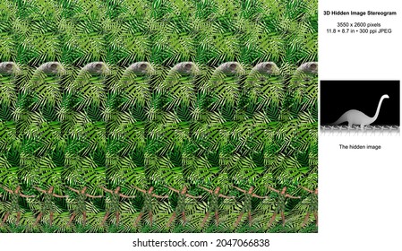 Comparison 3D Hidden Image Stereogram Illusion